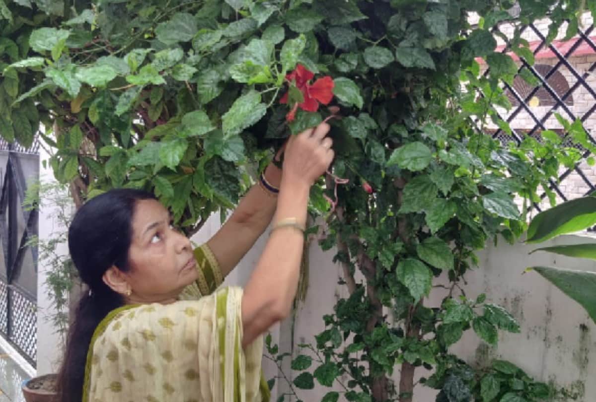 special Gardening story of environmental protection by many people in gorakhpur