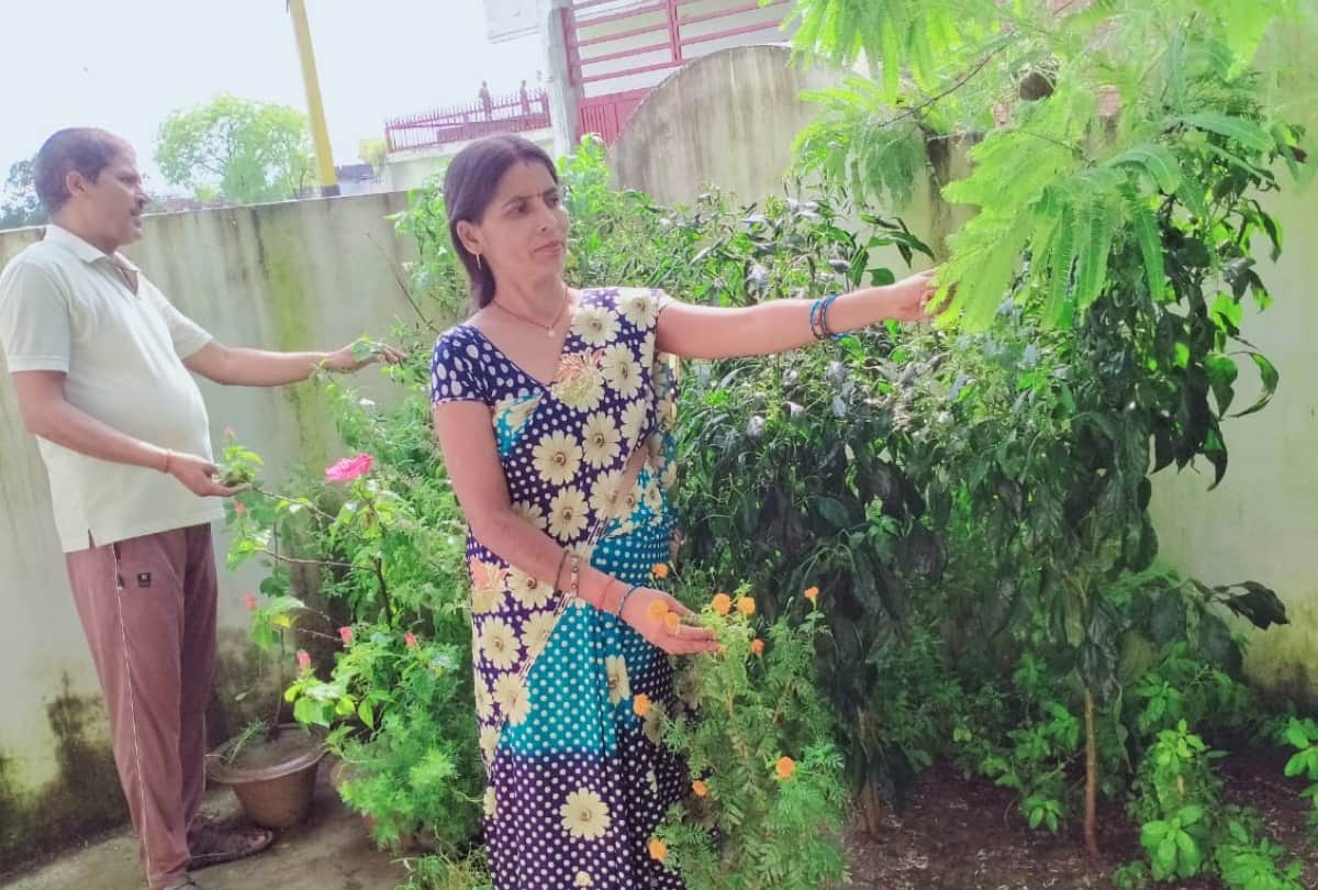 special Gardening story of environmental protection by many people in gorakhpur