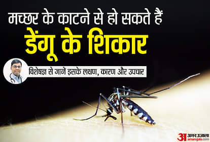 dengue fever symptoms causes signs treatment and prevention in hindi doctors advice in dengue disease
