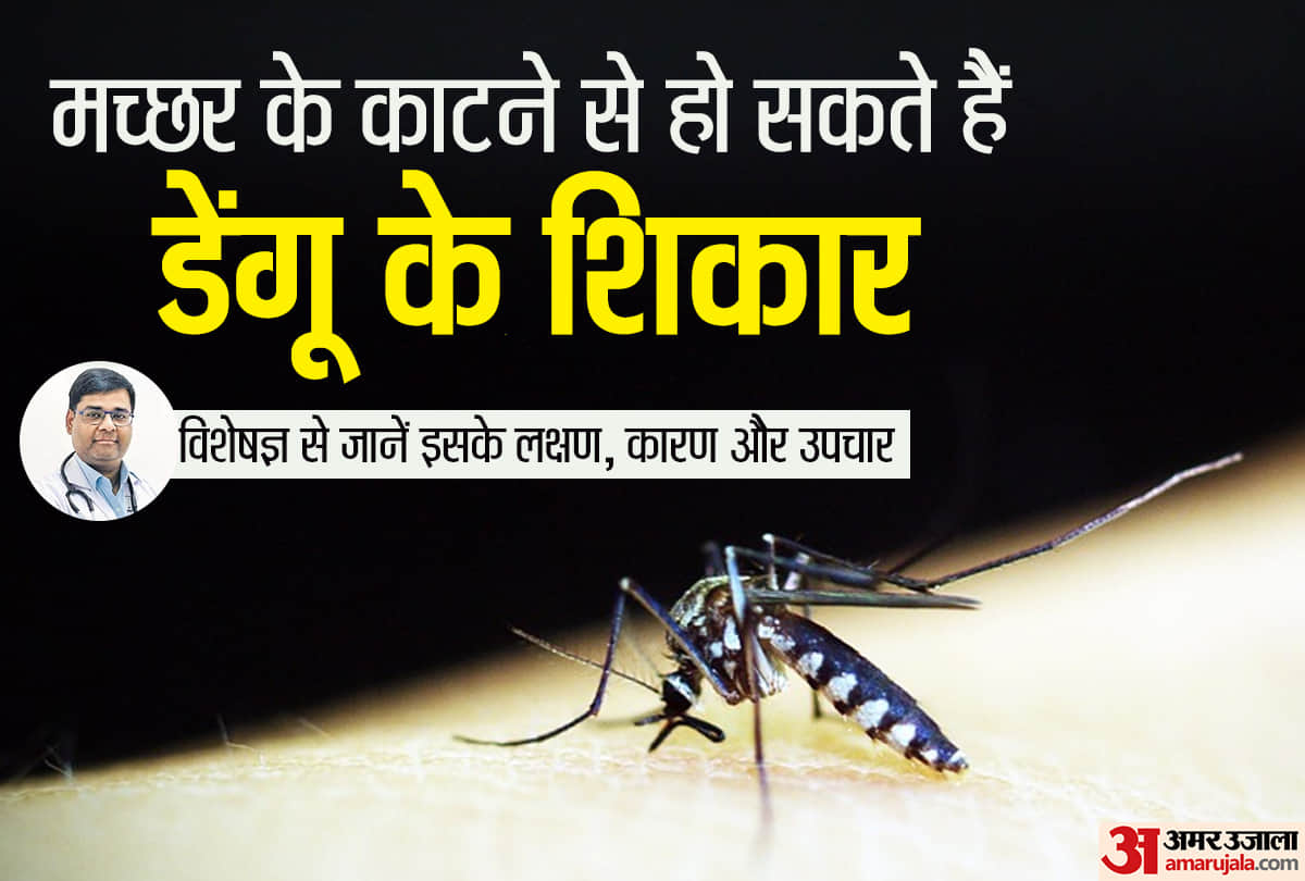 dengue fever symptoms causes signs treatment and prevention in hindi doctors advice in dengue disease