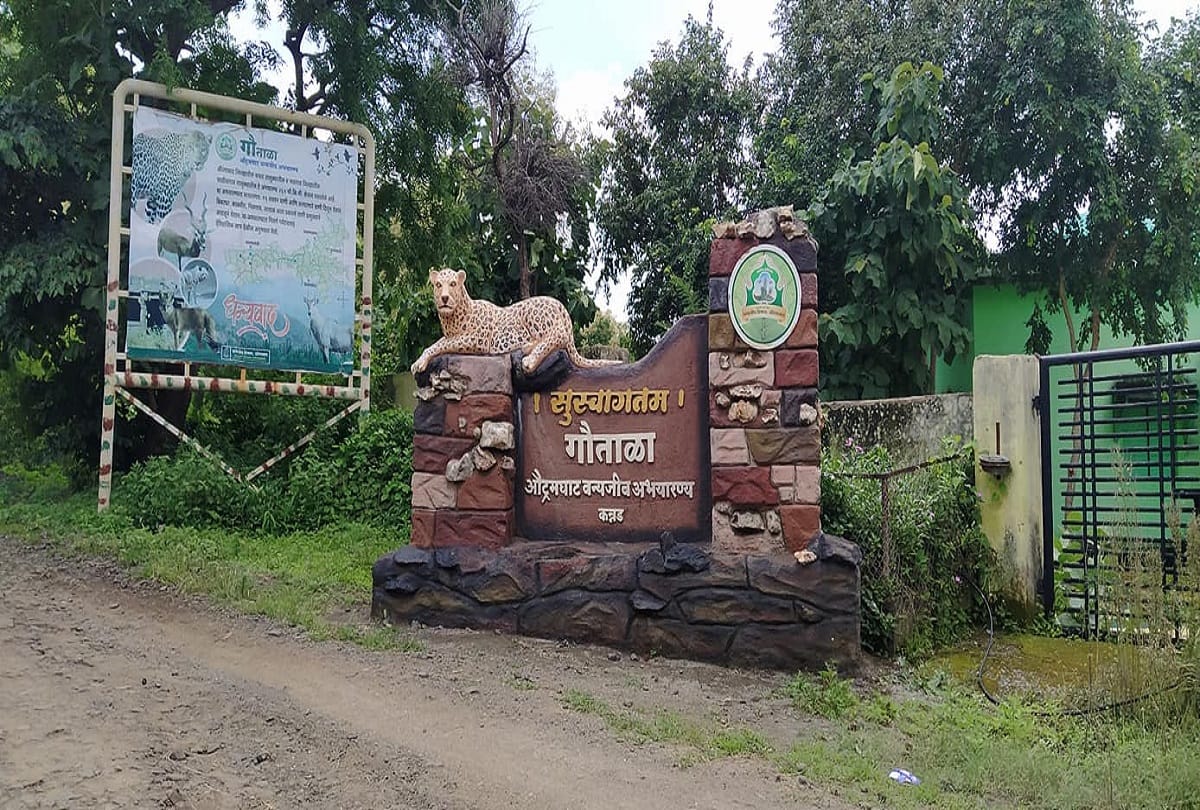Beautiful places in India want to enjoy wildlife with natural scenery then visit Gautala Sanctuary in Maharashtra