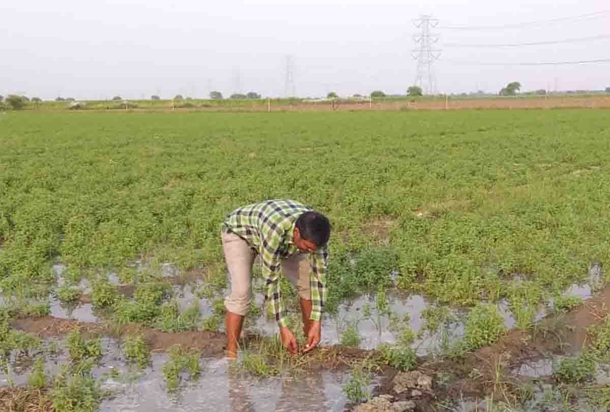 UP PCS 2018: Jalaun's boy gets fourth rank in PCS, see photos