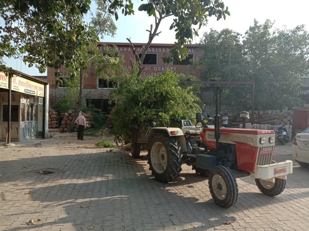 municipality team collect data of businessman