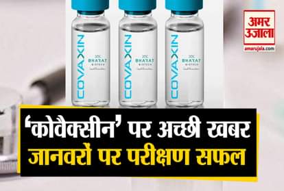 Trial of covaxine on animals successful, Bharat Biotech announced