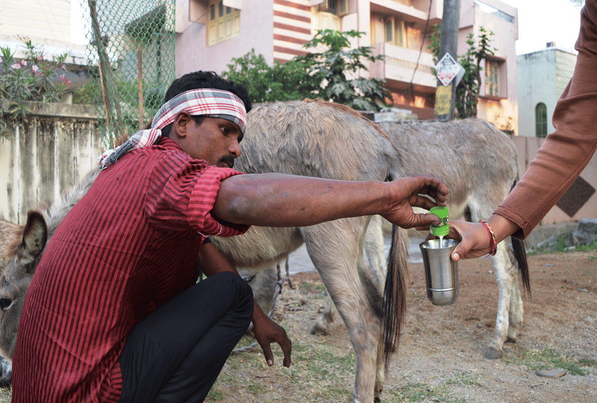 benefit of donkey milk being sold in India for Rs 7,000 per liter