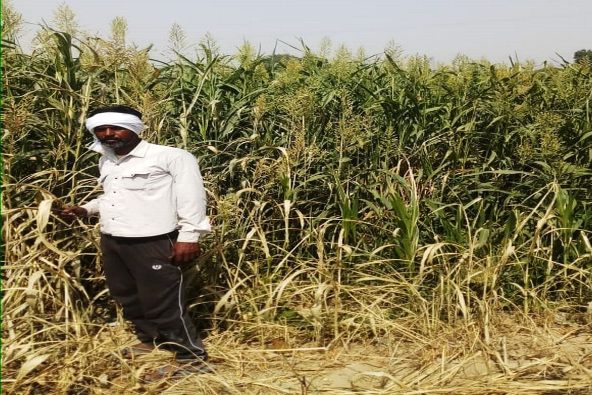 firozabad farmers,electicity problem