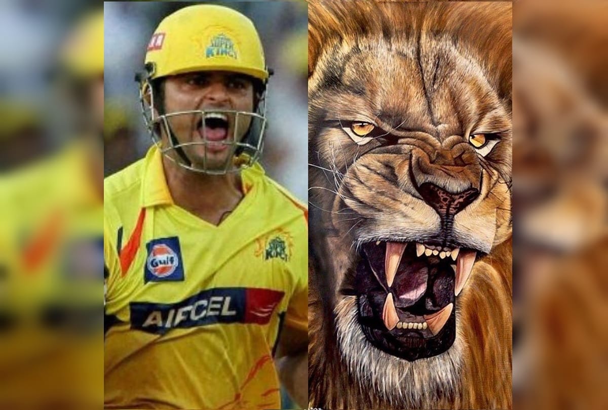 IPL 2020: Who will replace Suresh Raina in Chennai Super Kings