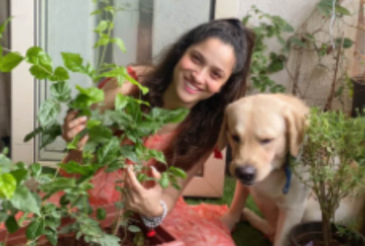 ankita lokhande plants saplings for sushant singh rajput campaign