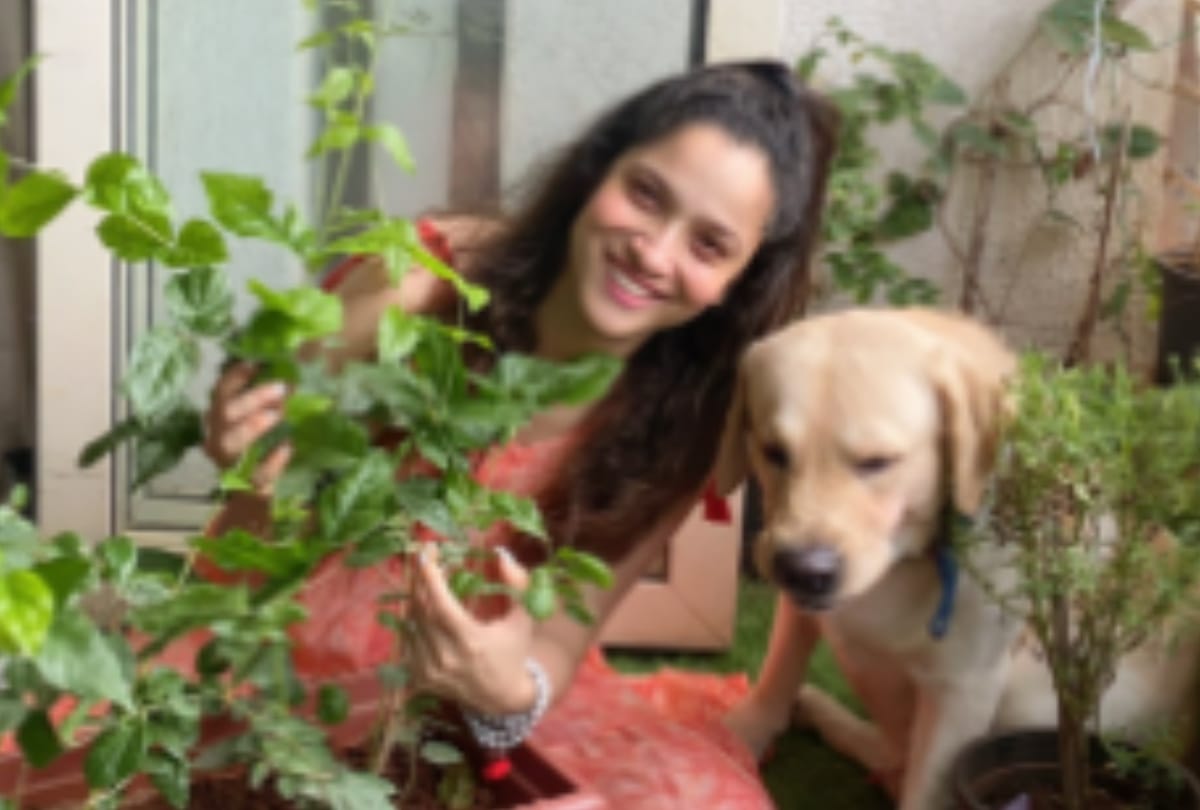 Shibani Dandekar and Anusha dandekar deleted post support to rhea chakraborty