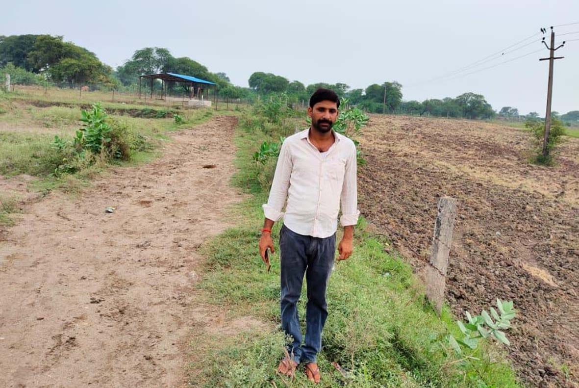 Kharif crop deteriorated due to lack of rain in Jalaun