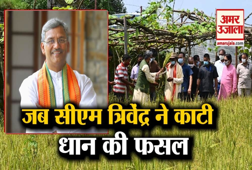 सीएम त्रिवेंद्र सिंह रावत