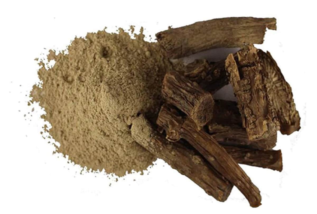 immunity booster giloy amazing benefits to cure other diseases
