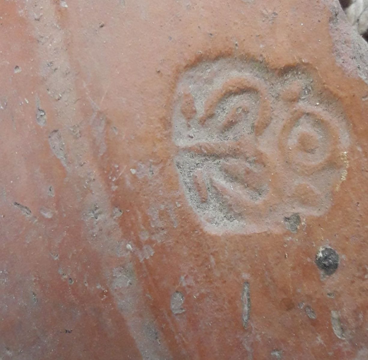 hastinapur : many ancients remains found in cleanness pandav teela