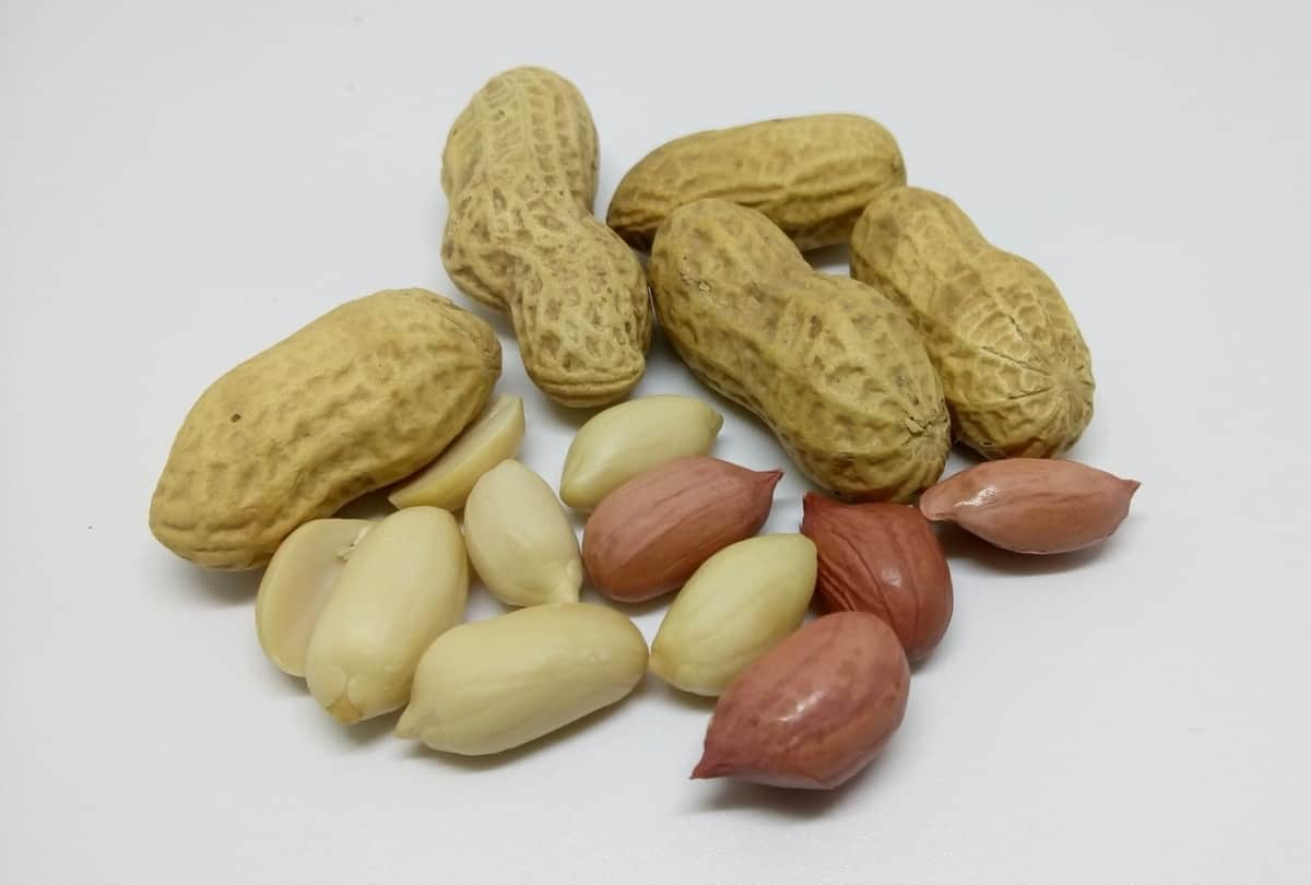 Peanuts Health Benefits in Hindi Peanuts Good For Heart  And Reduce Cardiovascular risk
