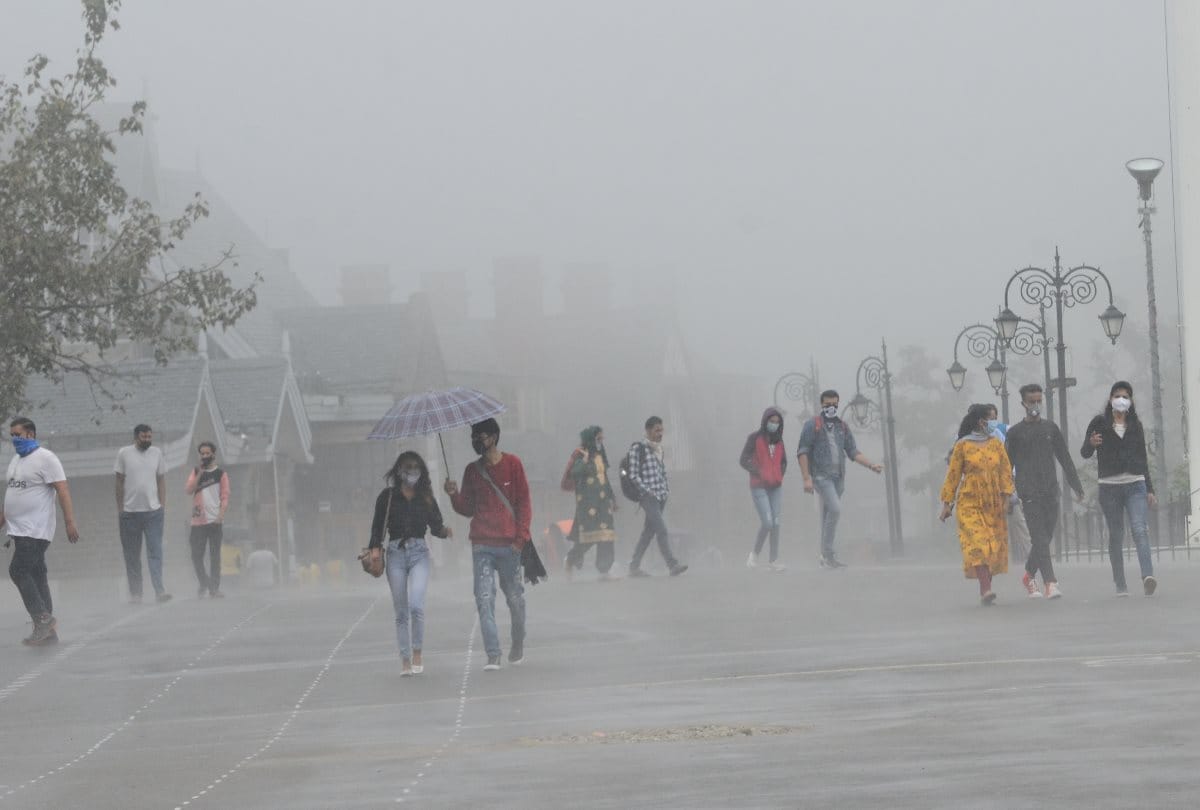 himachal weather report rain in shimla