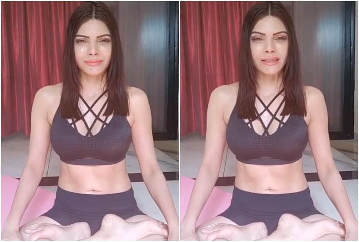 Sherlyn Chopra Reveals About Bollywood Drug Party Says Industry People Serve Drugs In Tray