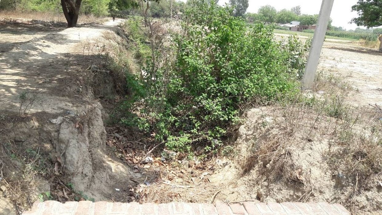There is no water in the kingdom, the paddy crop is on the verge of drying up