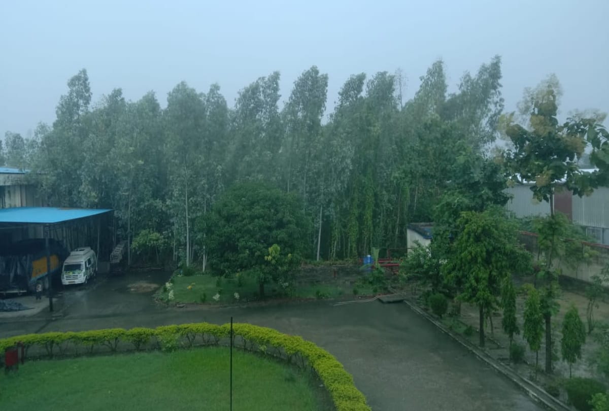 Weather Forecast Latest Update Today Latest News: Rain Warning In Many Cities including UP