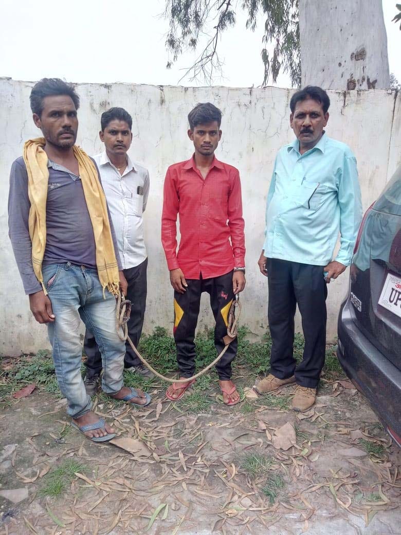 wood cutter arrest in illegal wood cutting
