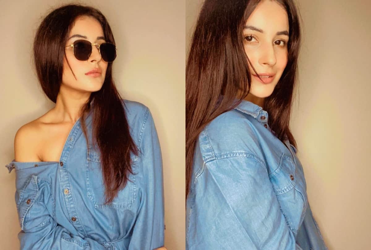 shehnaaz gill look very slim in latest pic fans give comment