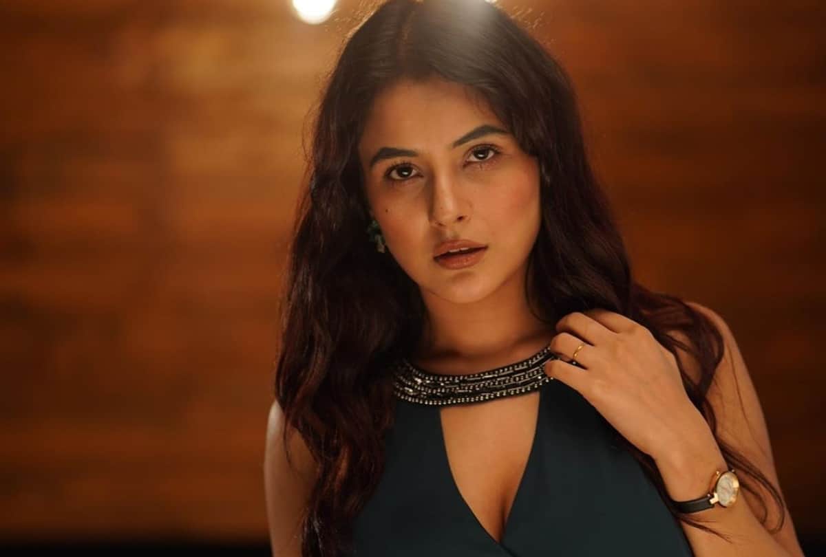 shehnaaz gill look very slim in latest pic fans give comment