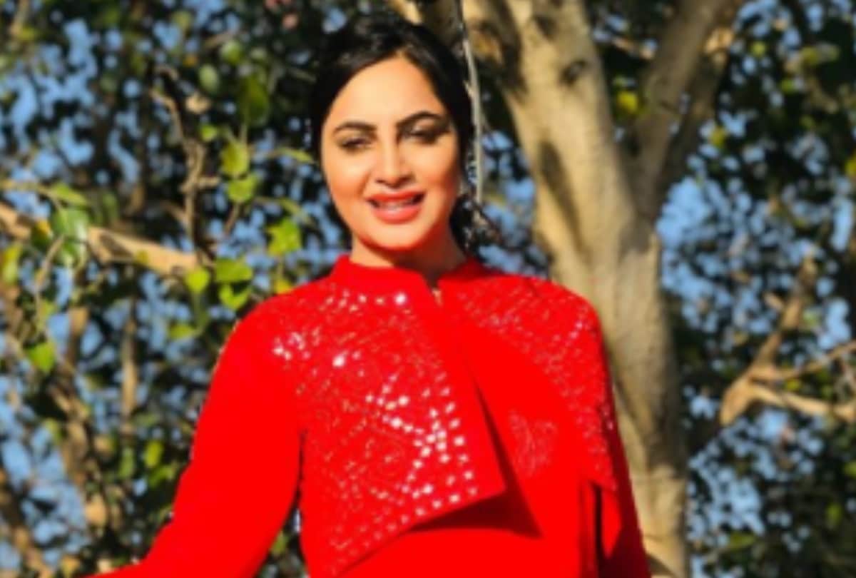 Bigg Boss 11 ex contestant arshi khan latest news in hindi