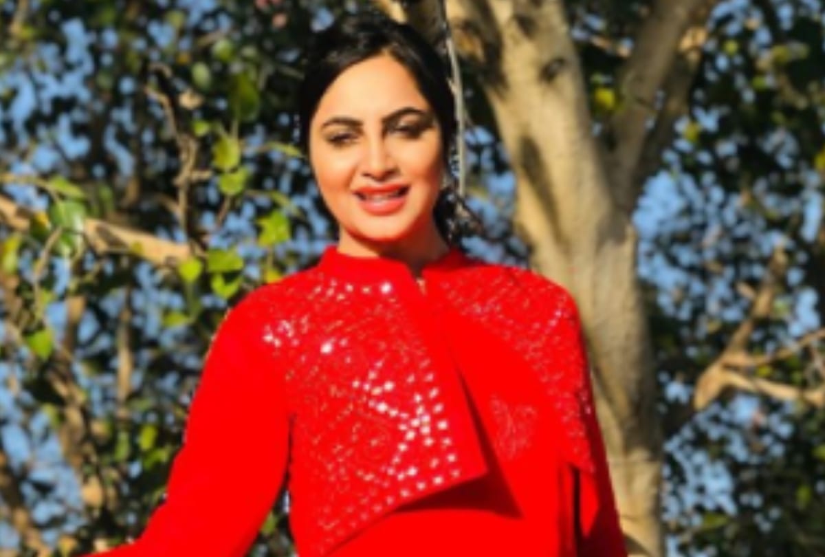 Bigg Boss 11 ex contestant arshi khan latest news in hindi