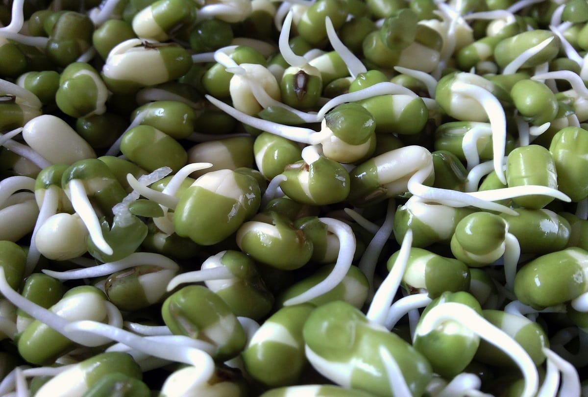health benefits of sprouted moong dal in hindi