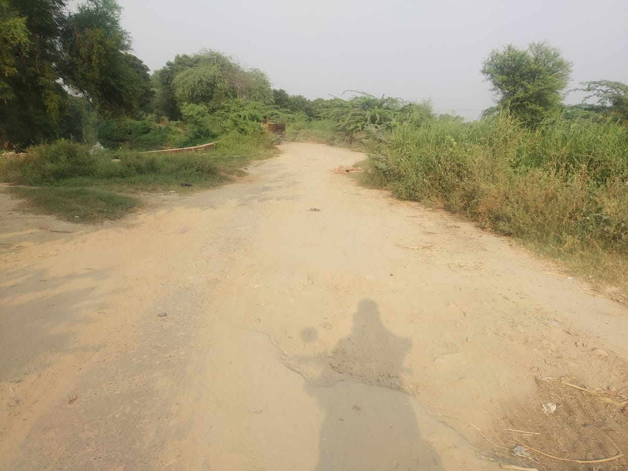 devotees will revolve around bad roads