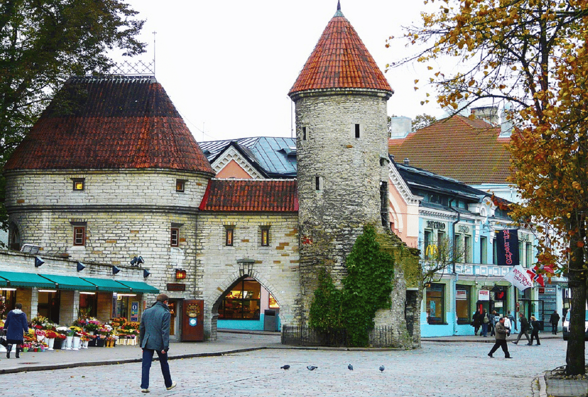 Estonia country in Europe cybercrime is not there even after free internet