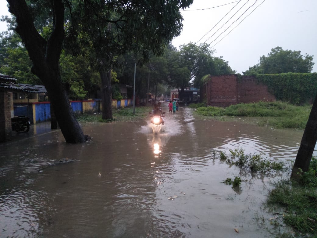 Thunder showers, farmers' faces blossomed