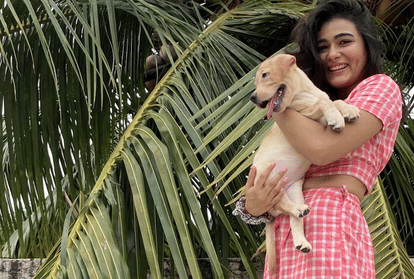 Arjun Reddy actress Shalini Pandey has got herself a new companion a pet puppy