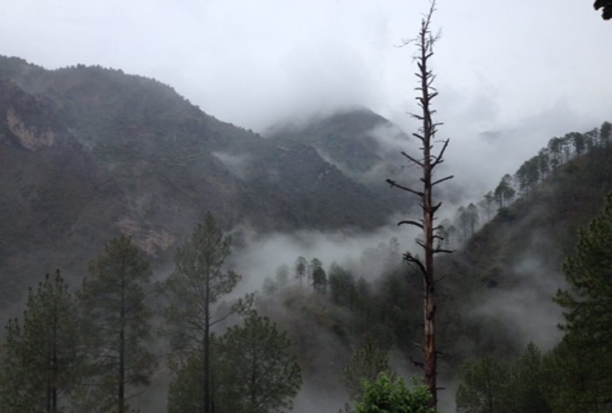 Himachal pabbar valley is the most beautiful place in India