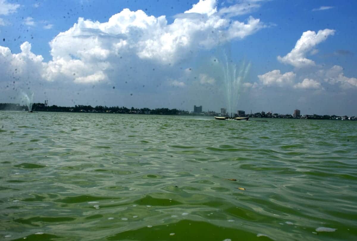 Ramgarh Tal will be safe once Wetland is declared in gorakhpur