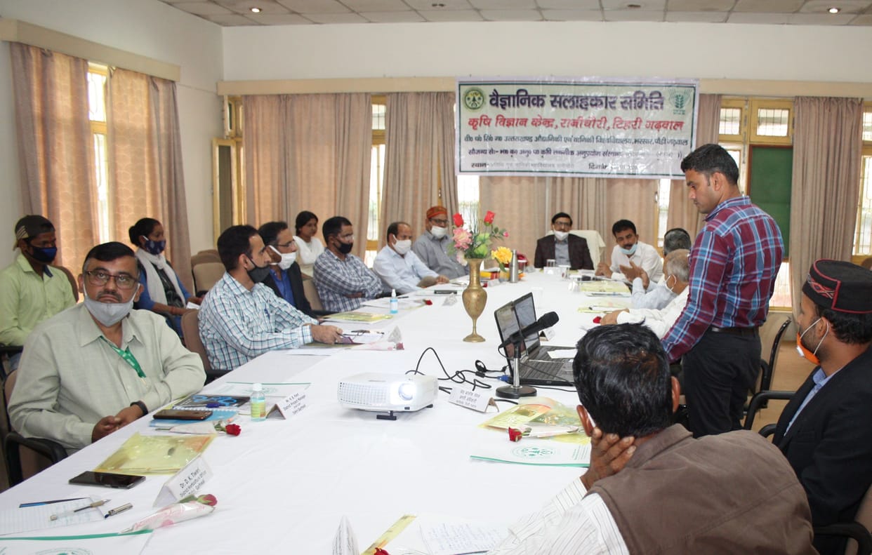 Research to increase yield through traditional farming