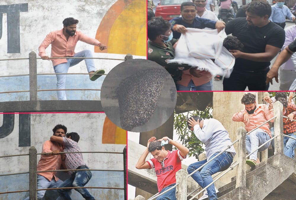 Uttarakhand: Parshad climb on Water tank for fees issue, Honey Bee Attack on him in haldwani