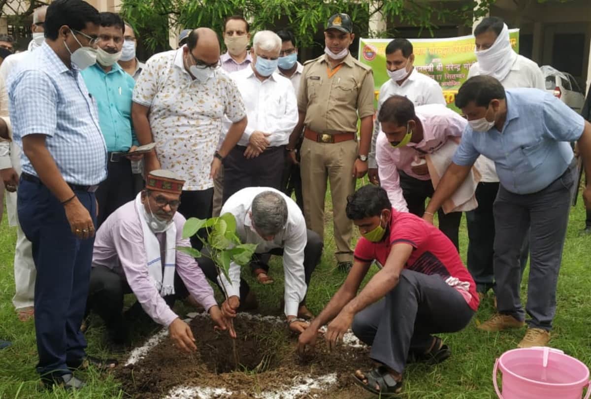 PM Narendra Modi 70 Birthday celebration in Gorakhnath temple gorakhpur news update see latest photos