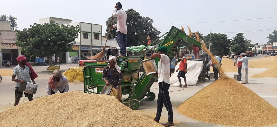 farmers withdrawing paddy due to no purchases