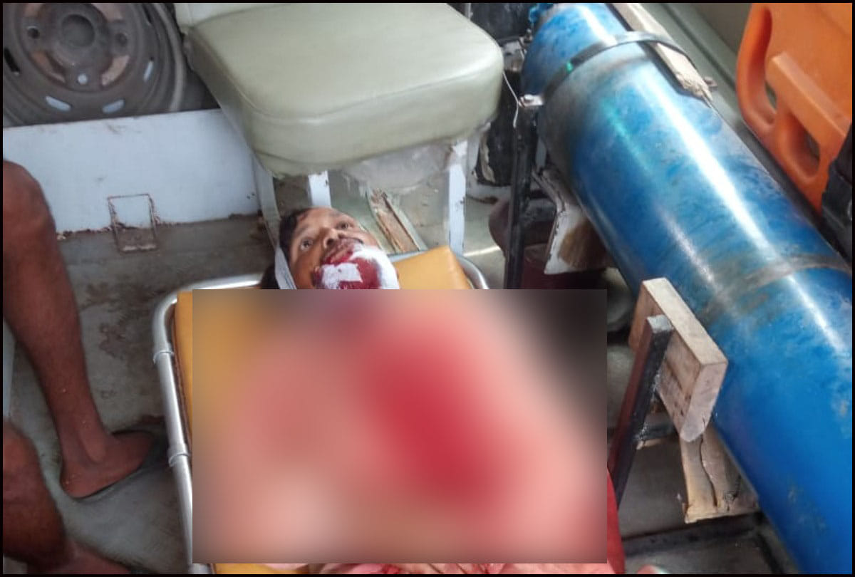 Lakhimpur Kheri: Tiger attacked bike riders passing through jungle route, three people injured