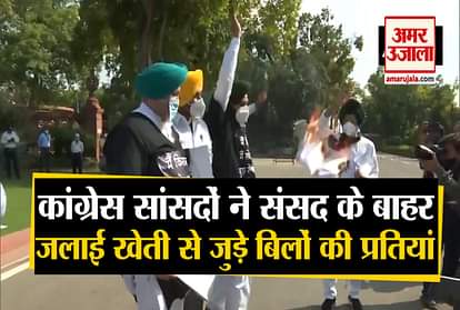 Congress MPs burnt copies of farm related bills, in Parliament premises today
