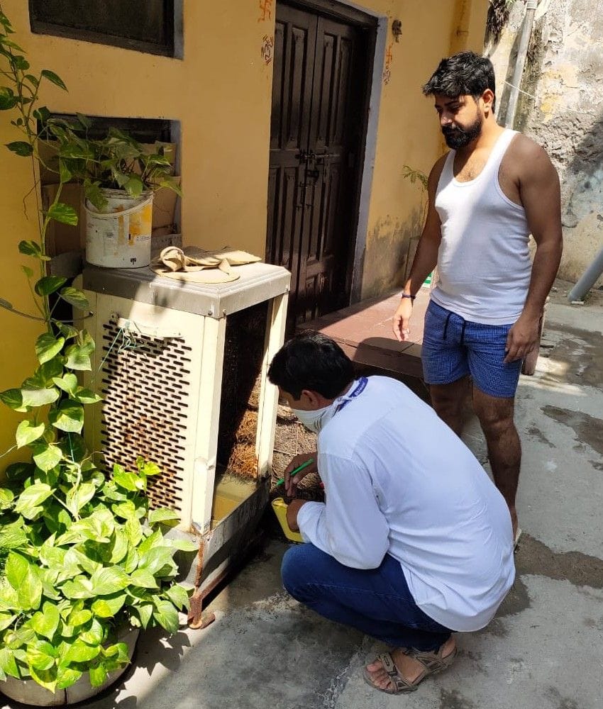 dengue, notice, 19 home found larva