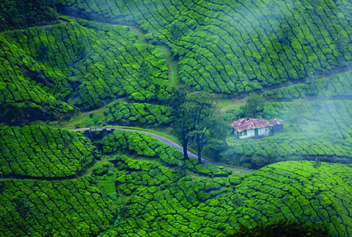 these are best tourist places in india for couples