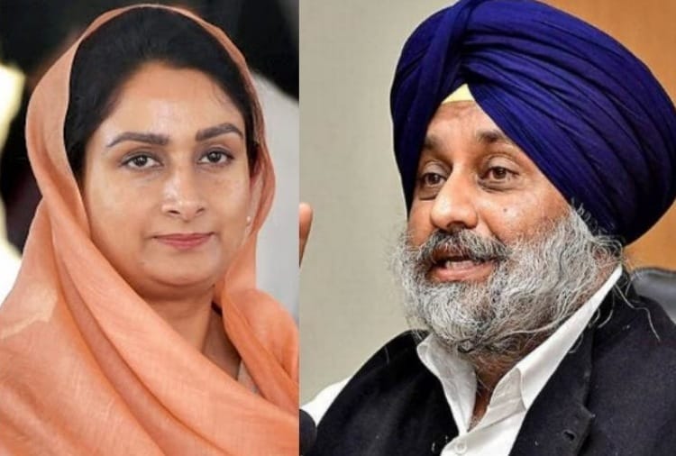 Punjab News in Hindi: Harsimrat Kaur Badal statement about her Resignation