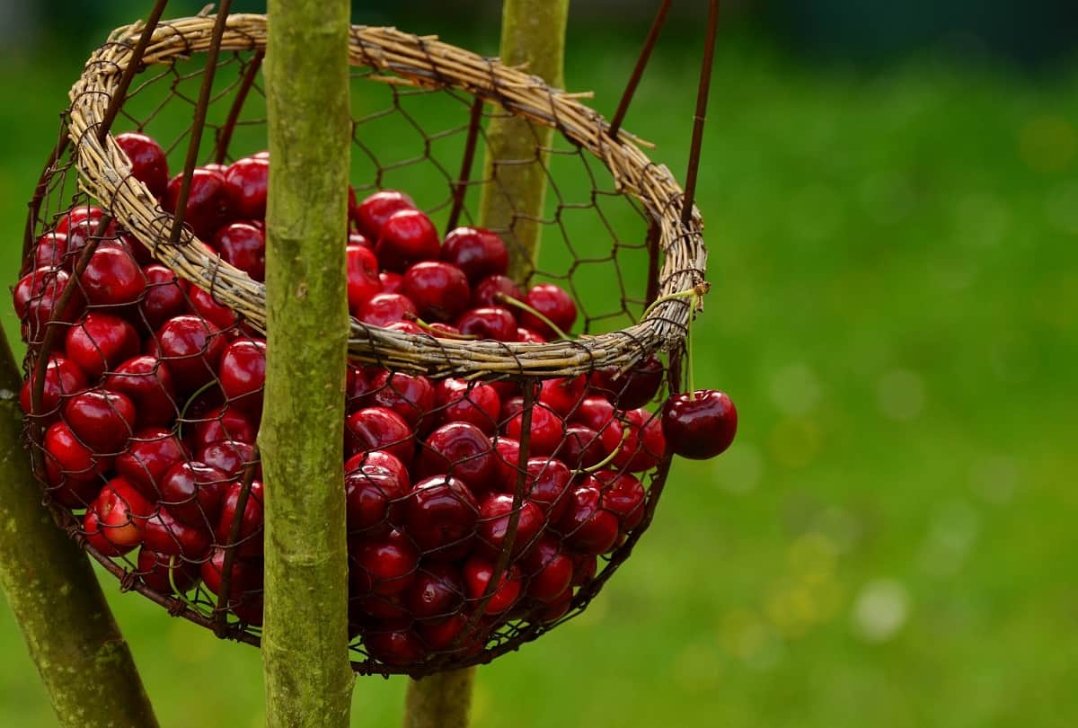 Include these foods in diet for good sleep