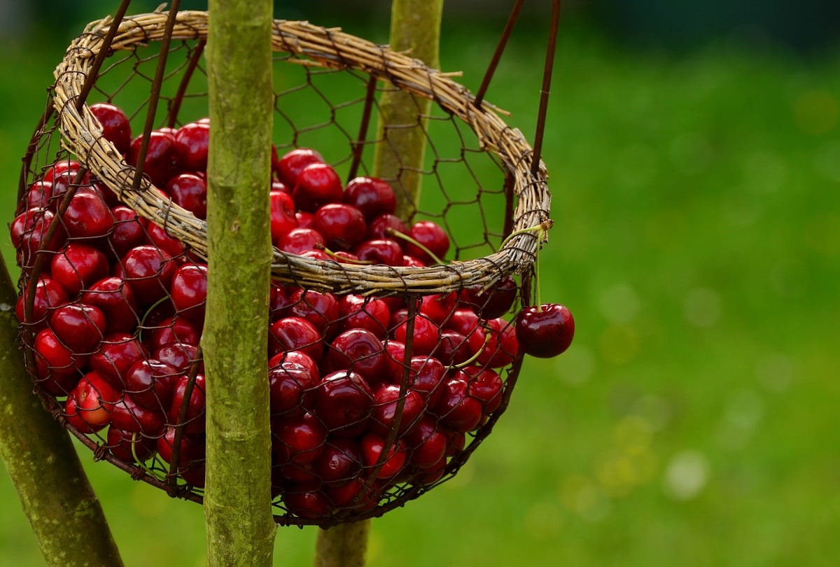 Include these foods in diet for good sleep