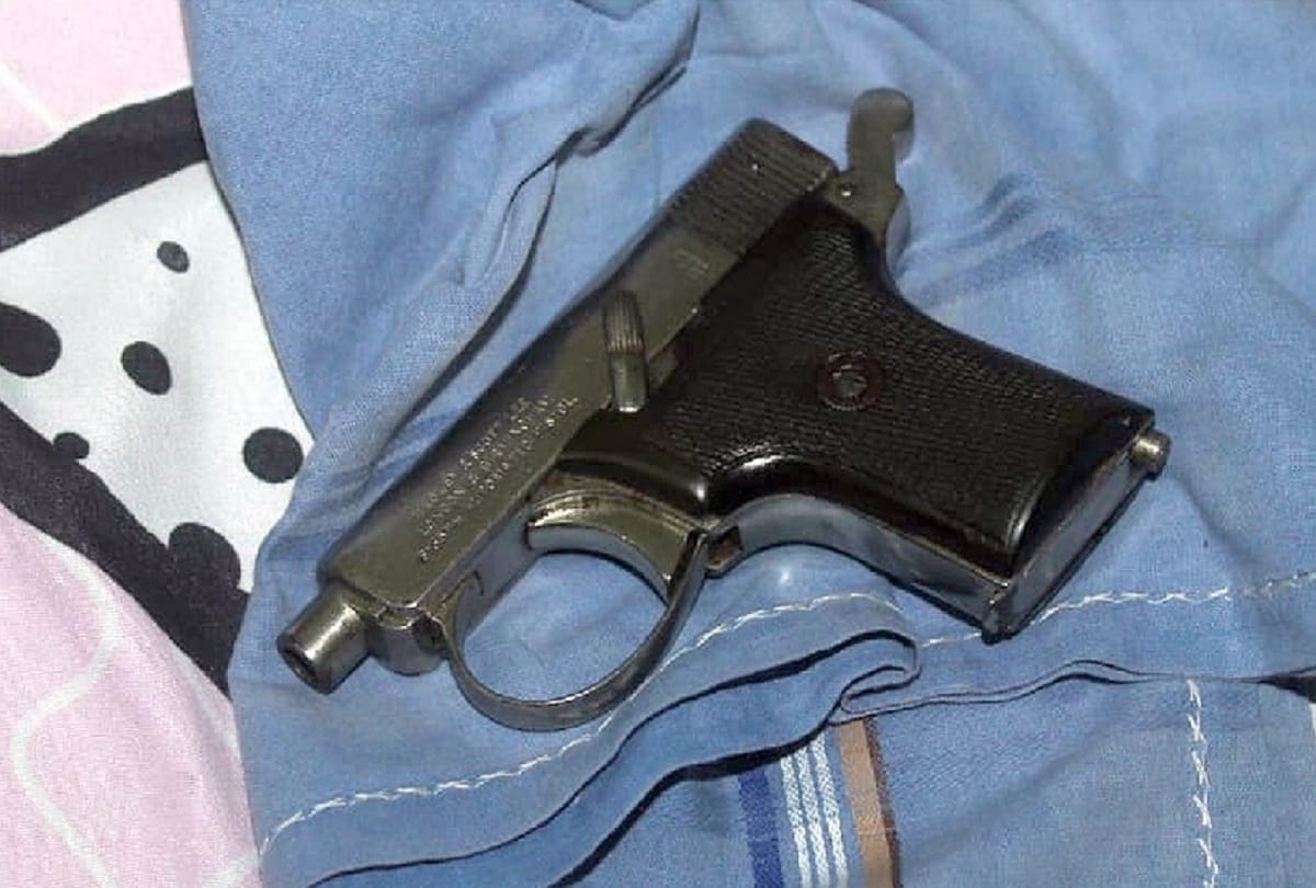 Auto driver snatched pistol from miscreant in delhi