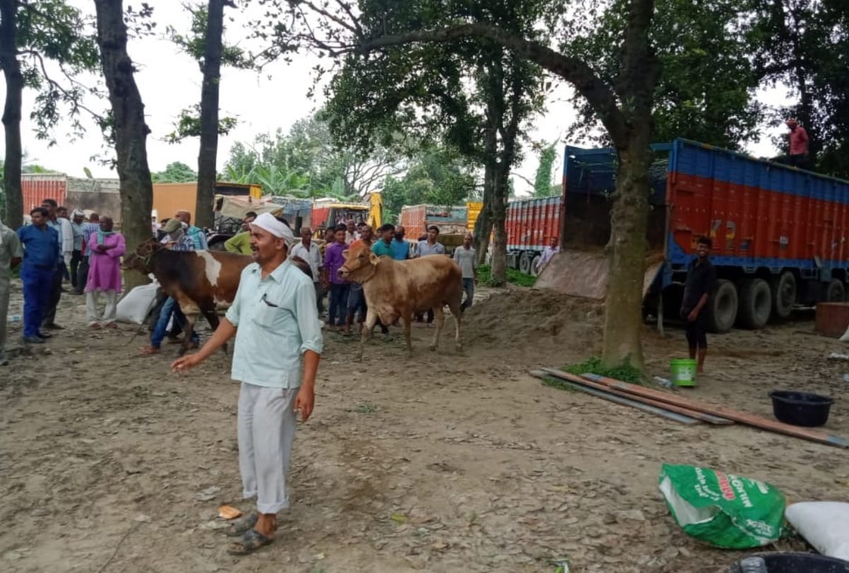 11 smugglers arrested for 154 cattle loaded on six trucks at Kushinagar