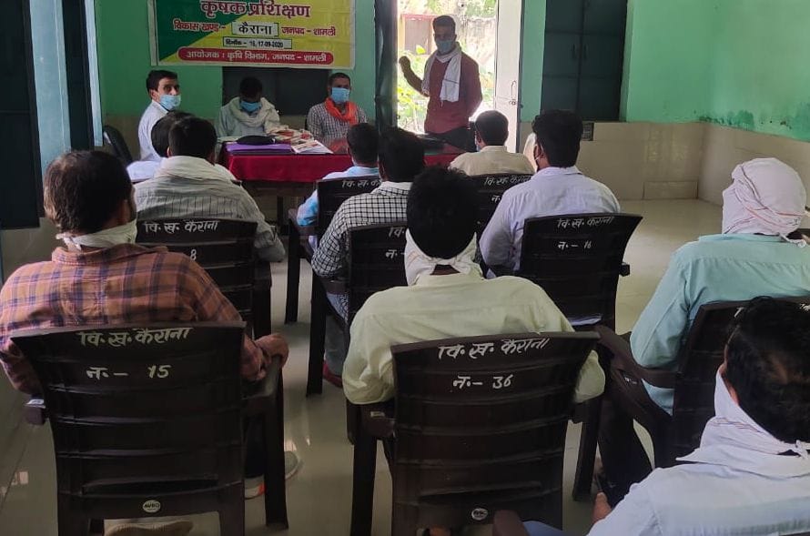 Information about prevention of diseases in crops