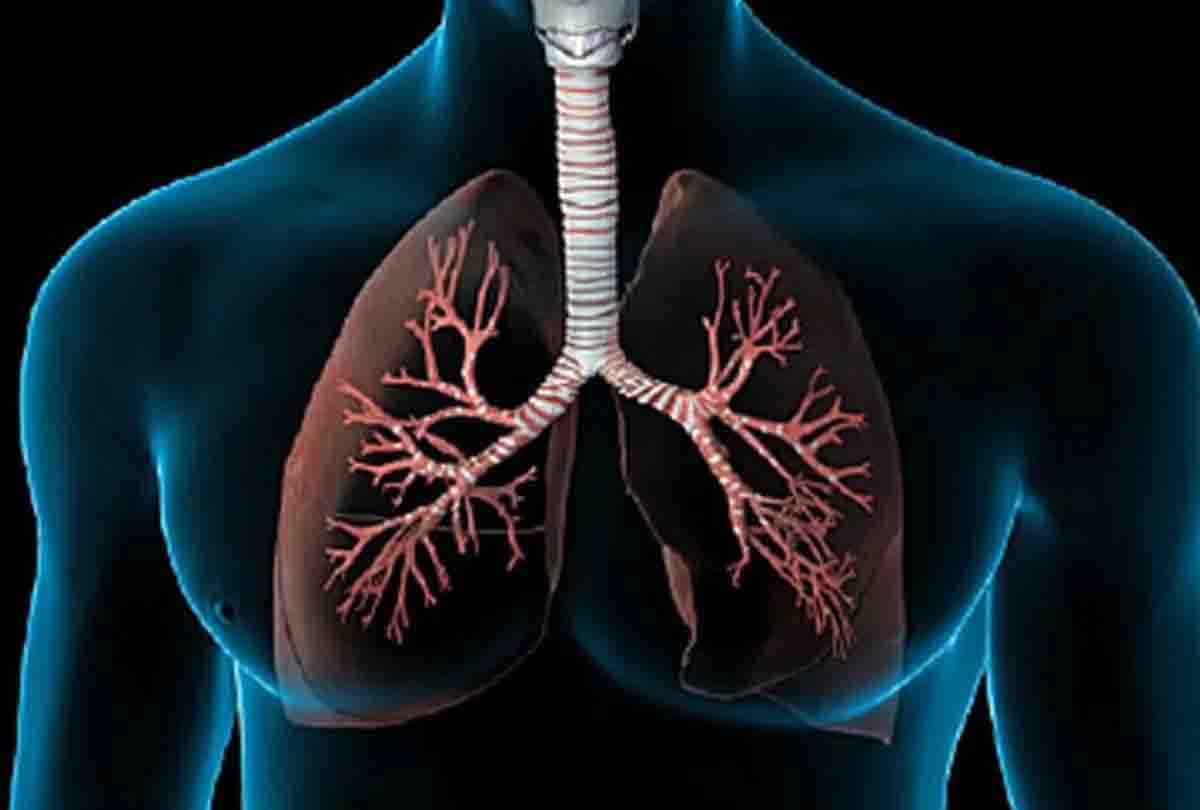 If corona deteriorates then new lung will be transplanted, Cardiology has prepared a proposal