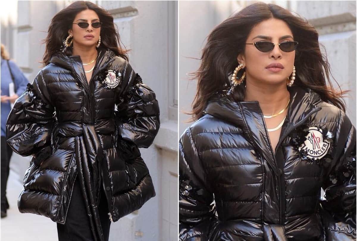 priyanka chopra spoken up in support of the white tiger director ramin bahrani for racism in america